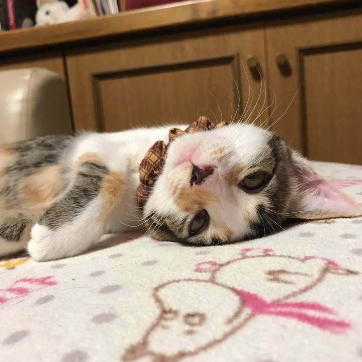 0315e0f9 7616 47f9 aa21 d601d6ca44b3 1600615207545