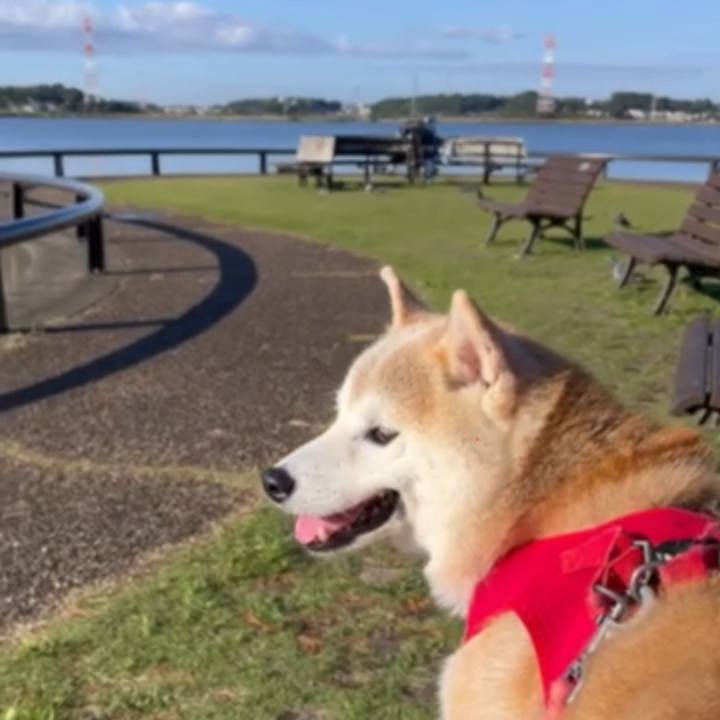 0315f4f3 05c6 46e3 99d2 94324162c965 1760657760977