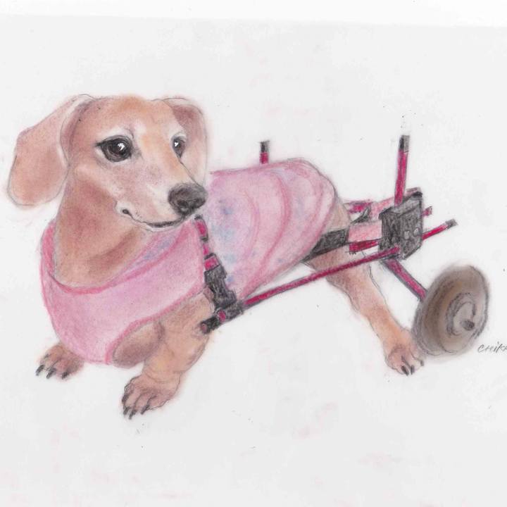 0315f50b a36c 4216 80b8 beacd9869d3c 1591254272065