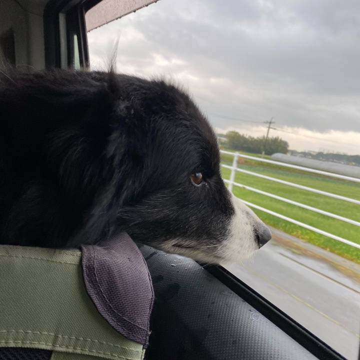 03160d35 477c 4045 b1d0 c7cd2de35aa4 1680734294104