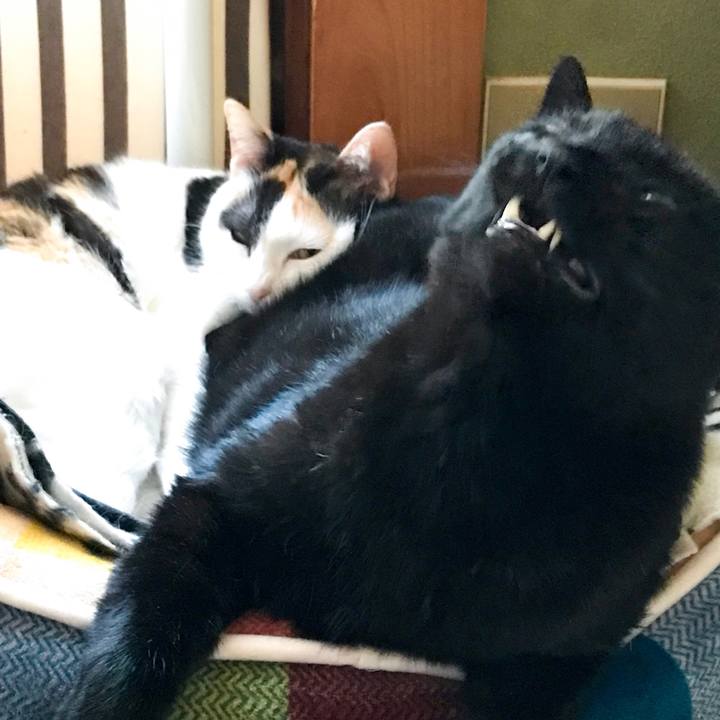 03166572 4258 4db7 869e 959f8b945d27 1524998278756