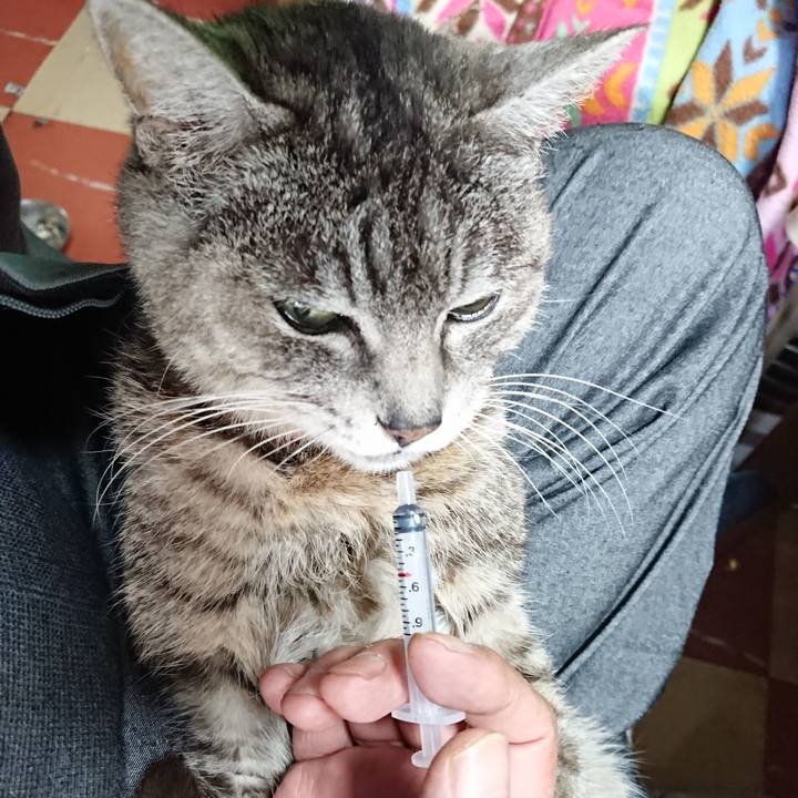 03168b68 322e 4b77 ae14 5a8920f72187 1585000450307