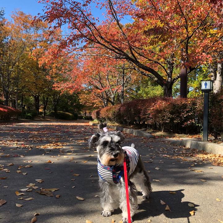 03169059 aa6e 4241 959b 6c260f005499 1605960459023