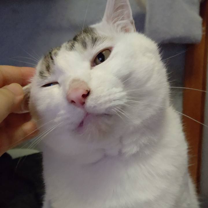 03169b94 6b31 4529 a2d5 94de7162f266 1587867685320