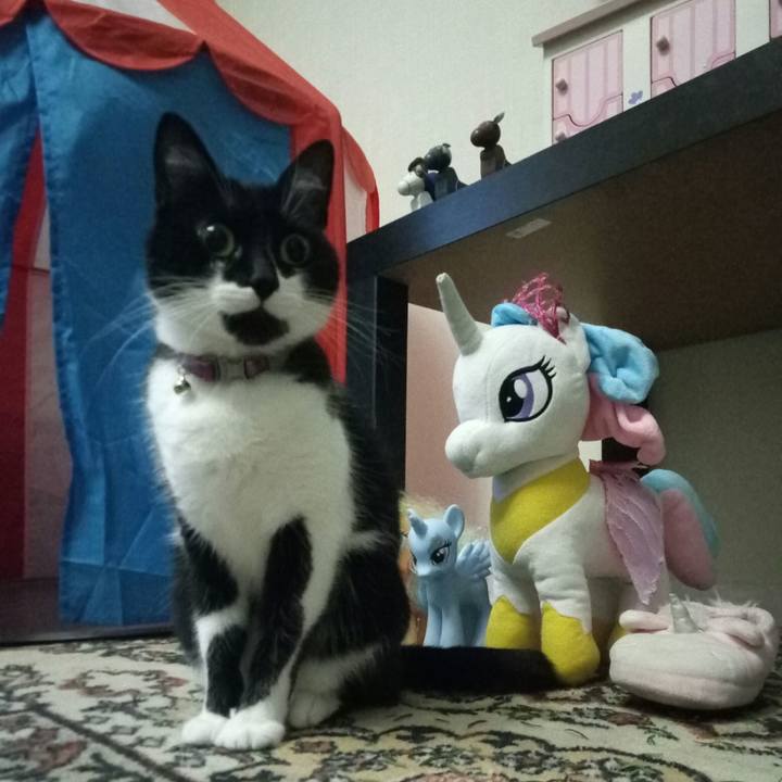 0316a17b c215 46e9 ade5 3b9099d7a8a4 1546063971187