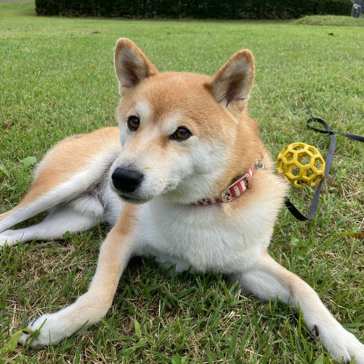 0316a520 a83b 481b a24e 46d21a32ca54 1665188082778