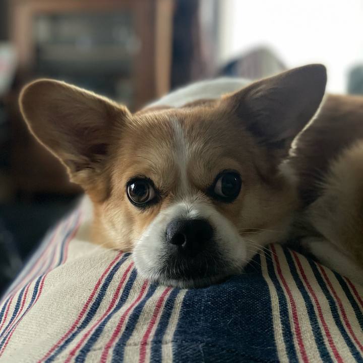 0316df71 61bd 44dd 8244 7c4fb2ac9bfa 1669199541264