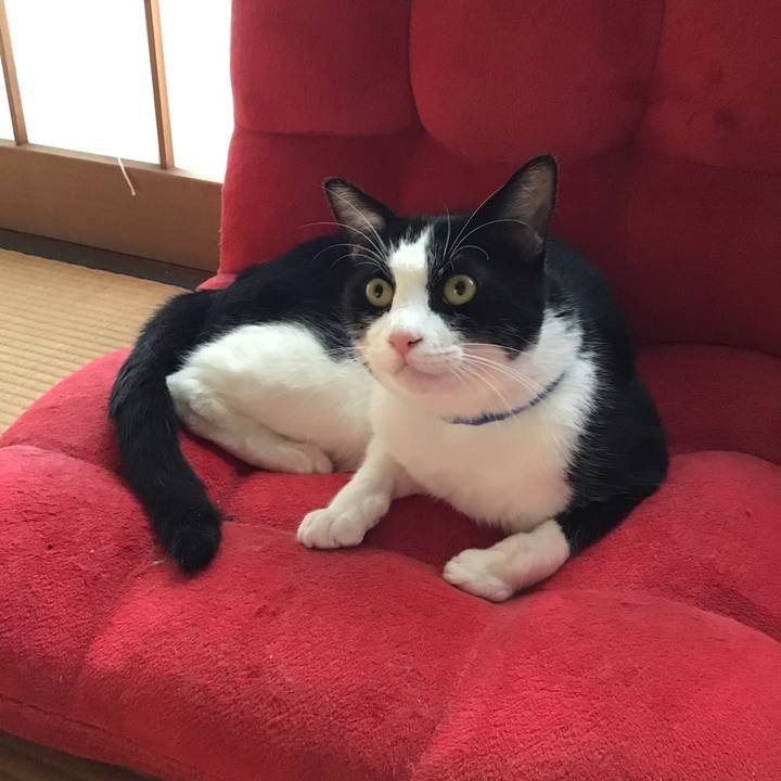 0316f9f0 2198 445c 820a b4bcc72decff 1691839497711