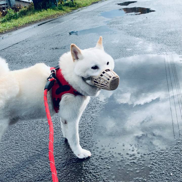 0317271a 162f 42d3 8290 1247077606a7 1636506599120