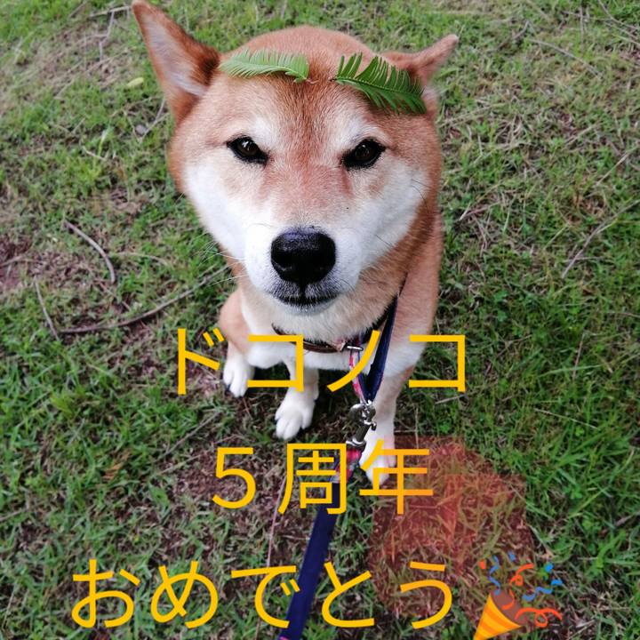 03173c7e 3a8e 4e89 be9f a25fc657dba3 1622853059345