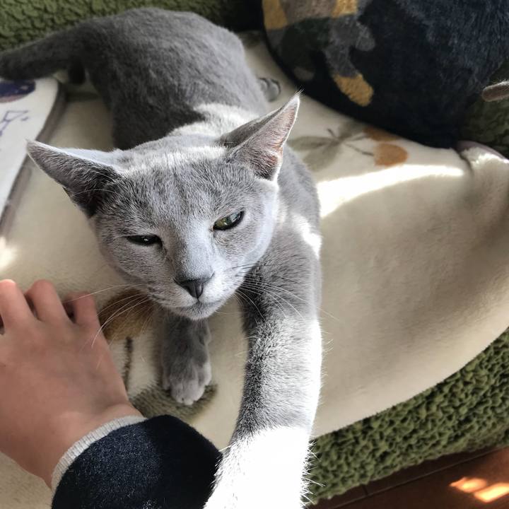 0317c33f d900 421b bc00 65e9ad865dbe 1514584023850