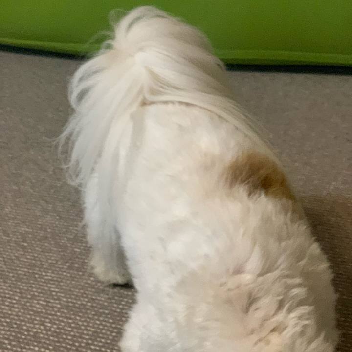 031803ff 1b80 4120 9f60 aca7527c957a 1580258694936