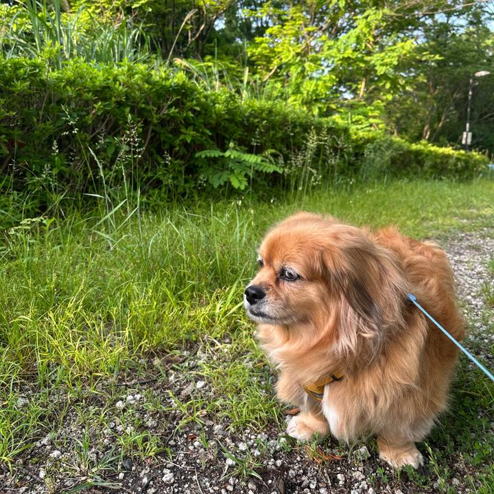 03187f56 343e 48ce 9b51 95c43d2cfb65 1747689683022