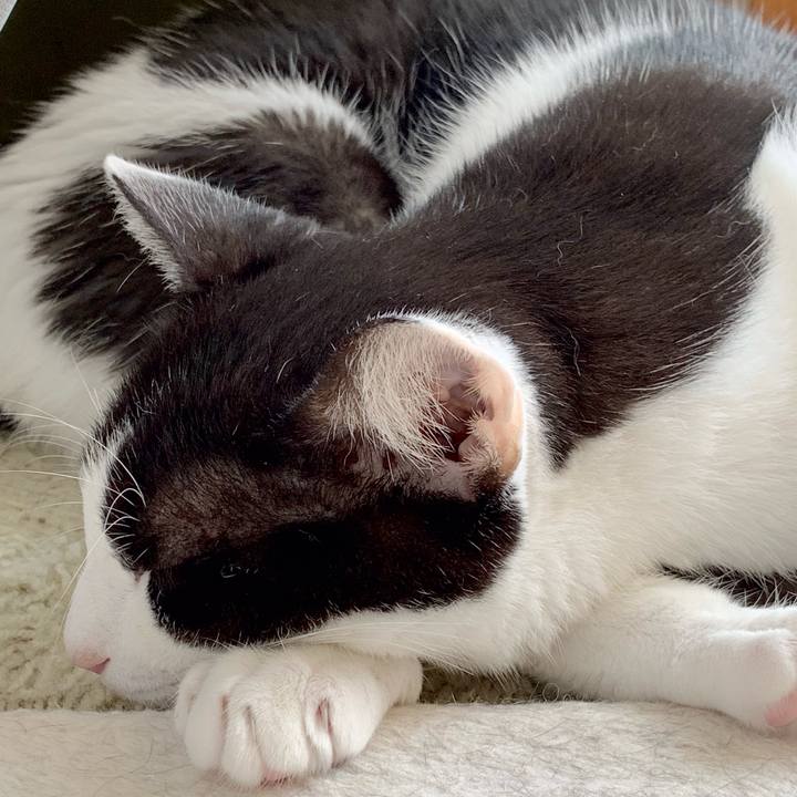 0318942a 7ef2 473b 9cb3 5c0b770a444c 1540605495298