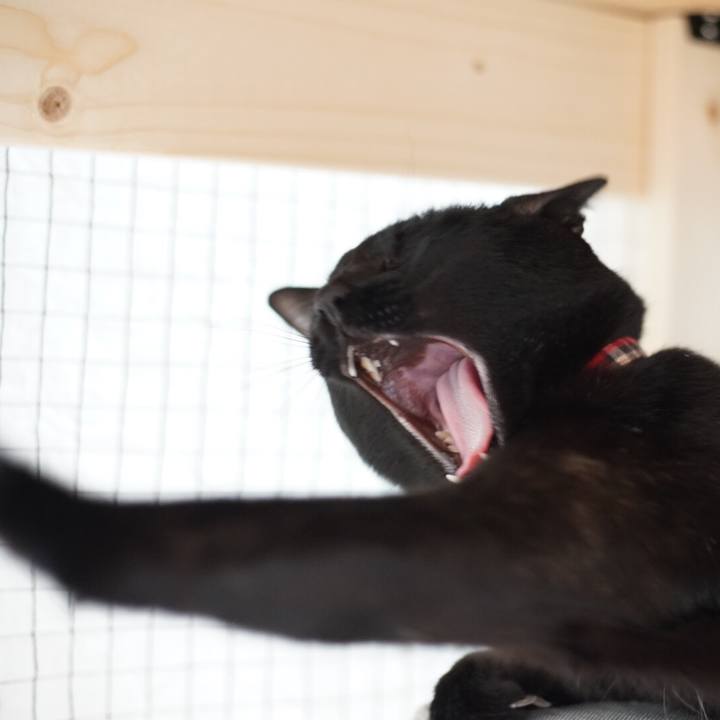 0318ae2a 3f20 4ae3 a41b 1369e902a1c7 1522626145218