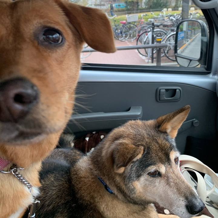 0318f947 6786 4dfd 9791 38d234c31cd9 1576716103401