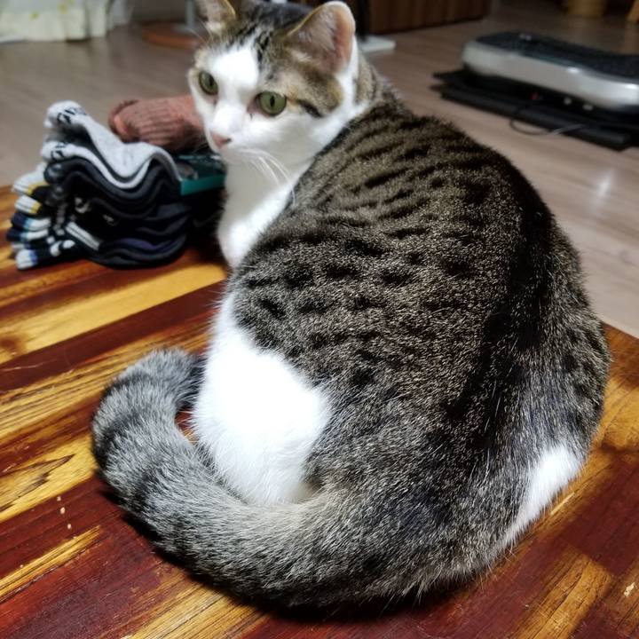 03194772 2dad 4b5c aebf 016568649ece 1621855331331