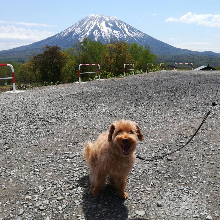 031996a2 1a3e 4788 b758 3b155eb301cb 1526800378656