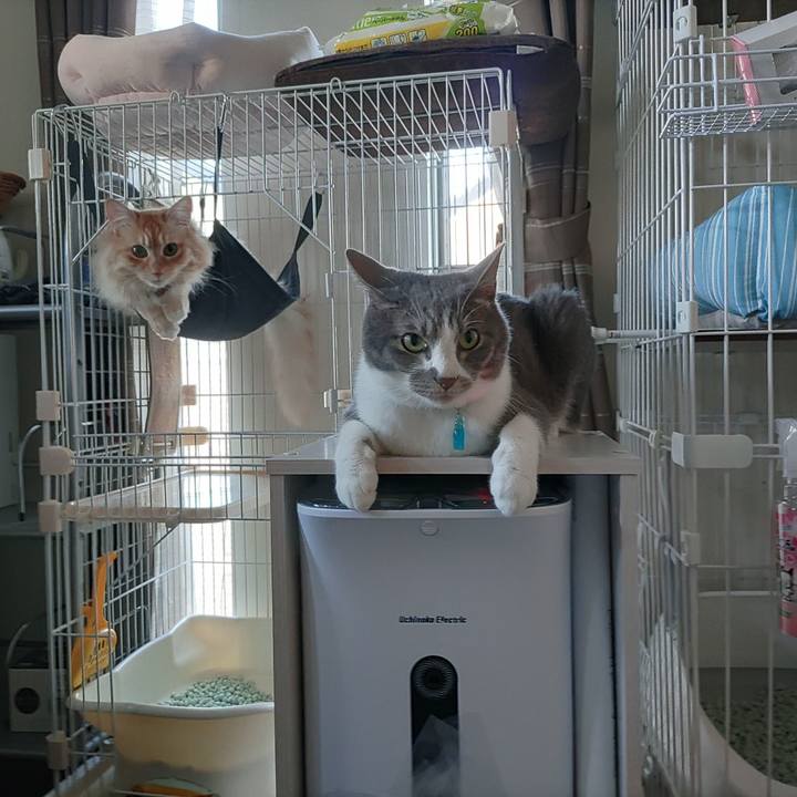 0319a2c1 35bd 4cbb 998a 60e8f0d0762b 1657453107615