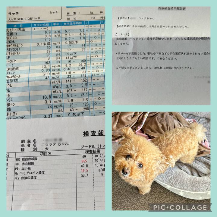 0319a882 21d4 4704 a467 82e8ab09f8c8 1713258884553