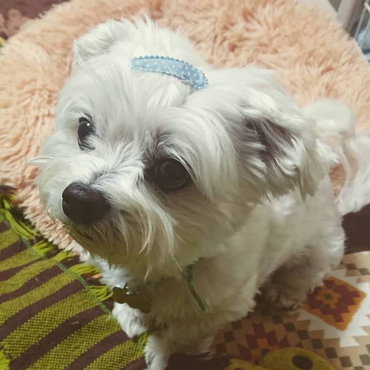 0319a997 1635 44c5 9854 03b110a582c5 1636114726561