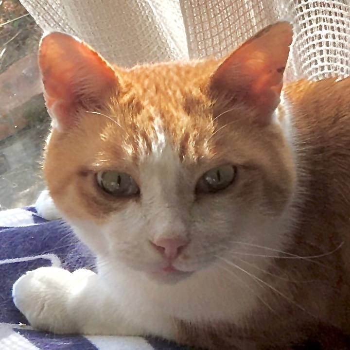 0319ad5a 92c8 4430 b2f4 9f135896d06c 1585140866146