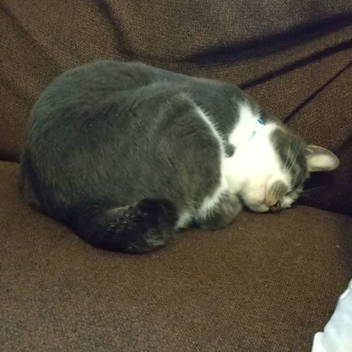 0319d64e 2790 4188 830c 2ead1ab334d1 1620877642892