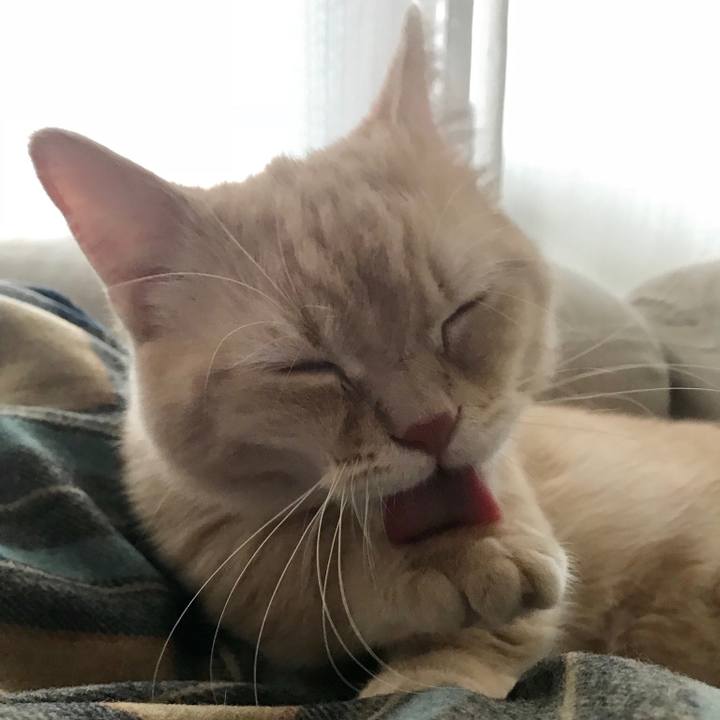 031a3734 8921 4a5c b360 f70522a56b97 1521156307319