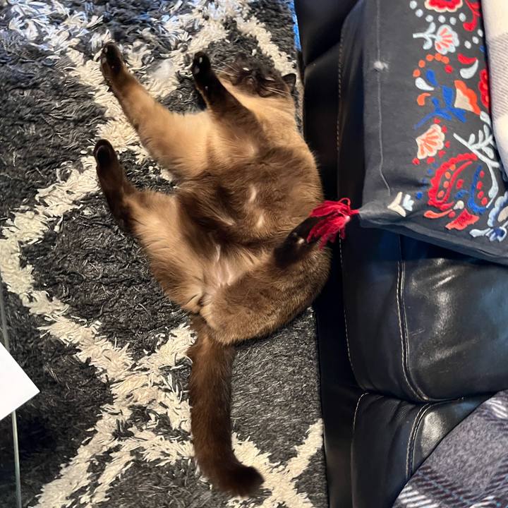 031a4f9c ec65 40ed b9ee 2e97cd5d6970 1647678212883