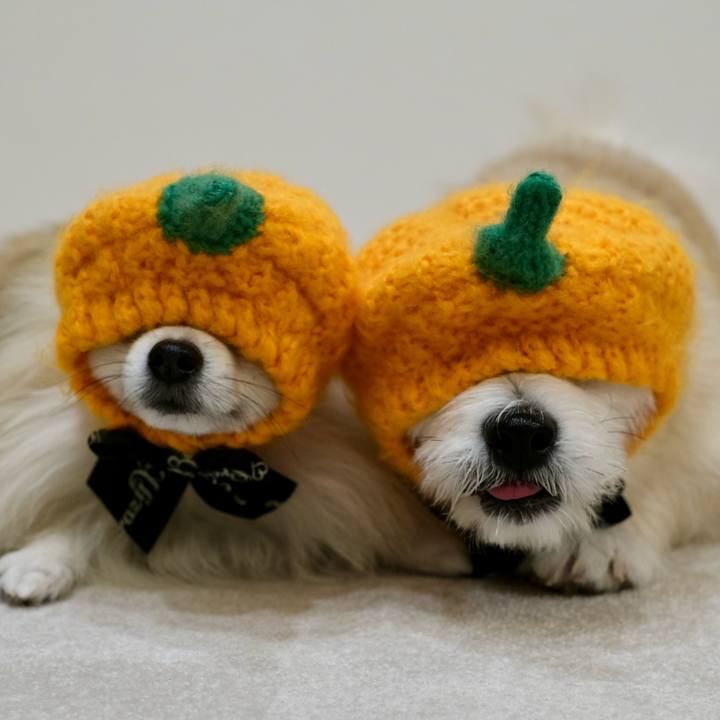 031a869e c074 4cc0 8b16 edeac461be4d 1761860921152