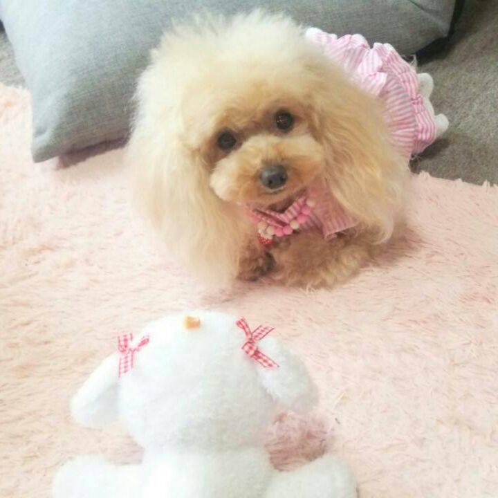 031aa364 7afb 46aa 826c 3e7da3a7b365 1561096762796