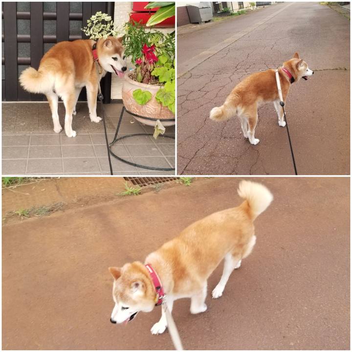 031aa50f 6f97 4c84 96f3 d9ad84488754 1753091536354