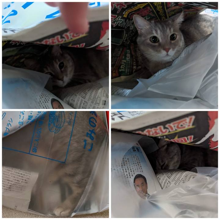 031aaaf3 da64 436e a198 7cfad1032d0e 1692162552049