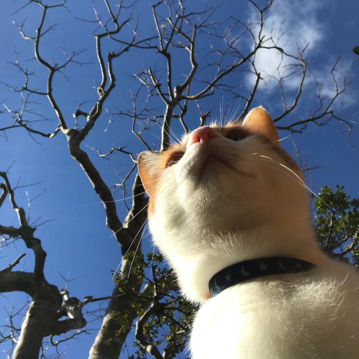 031b2bcf a007 43c3 b5bd 525cf9235375 1512182672019