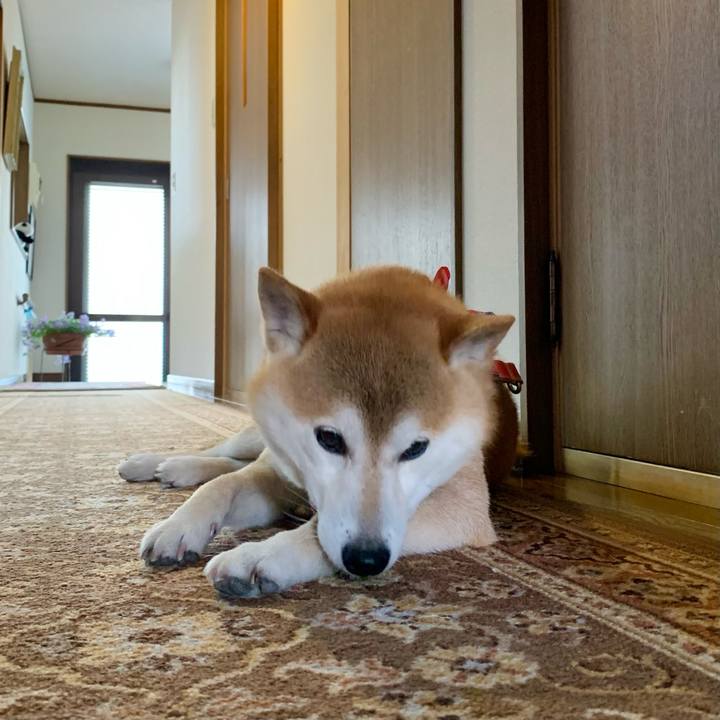 031b303c 6a49 43a9 bd43 645dec63105d 1625050133891