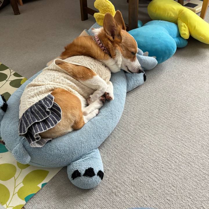 031b4786 be2e 4861 a355 347c934d6314 1763440814173