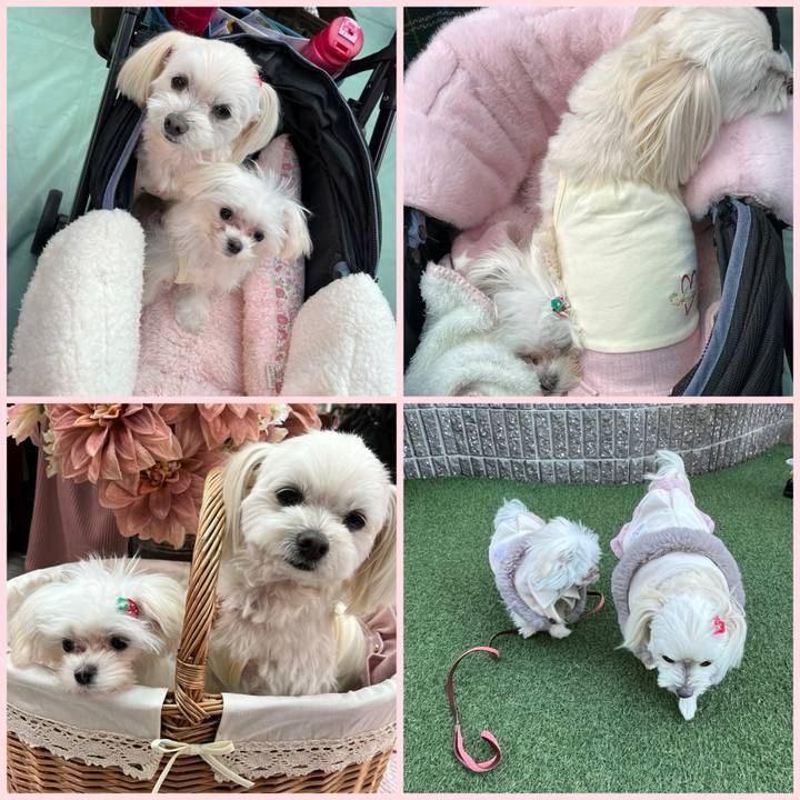 031b932d 3e40 4161 b491 0f53fbc19e2b 1706355312367