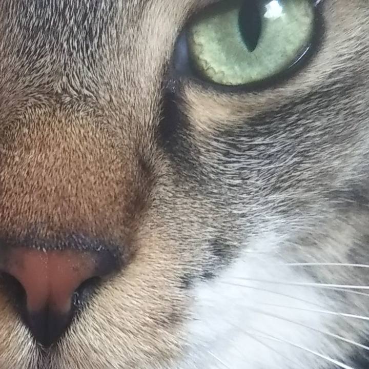 031bce9b e211 44aa 95cb 097ba855553f 1615263695986