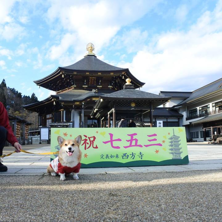 031c1431 ce41 467e aeaa 197b478fc61a 1671334567734