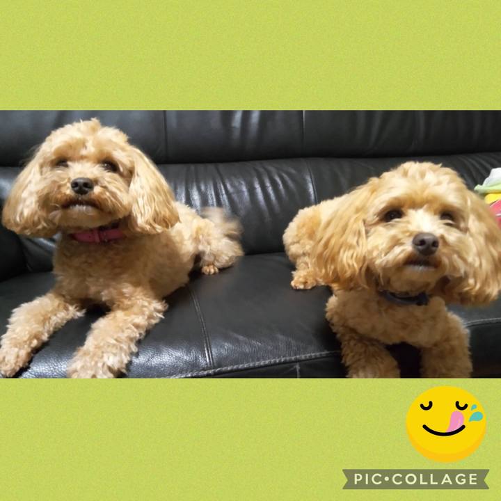 031c2339 b825 4e34 9636 e7a1540dce60 1652100058779