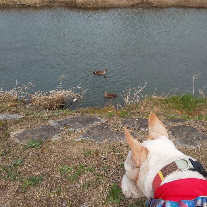 031c5018 68ae 4013 b8b3 e26f5987defb 1553318137601