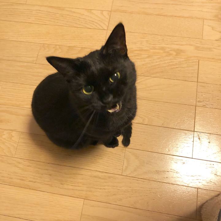 031c5504 a756 475a ac10 e57ee748de05 1583501750003