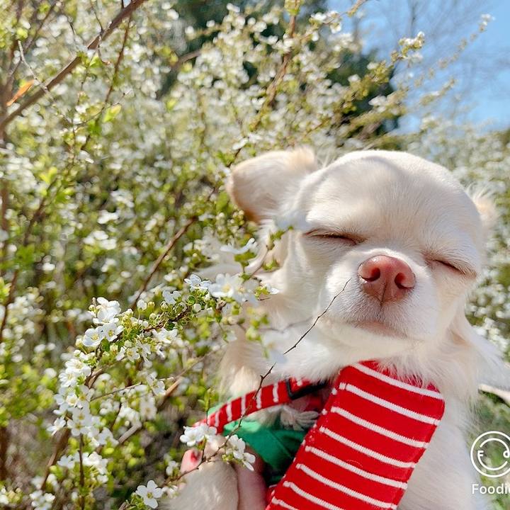 031c6e44 4844 4d1a ac45 bebba9dcba9e 1615377743194