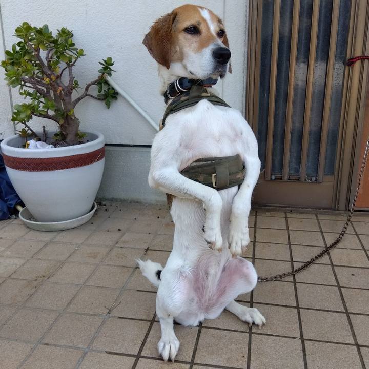 031c7060 bb9d 4bc3 bbb5 b36e12314567 1688444349829