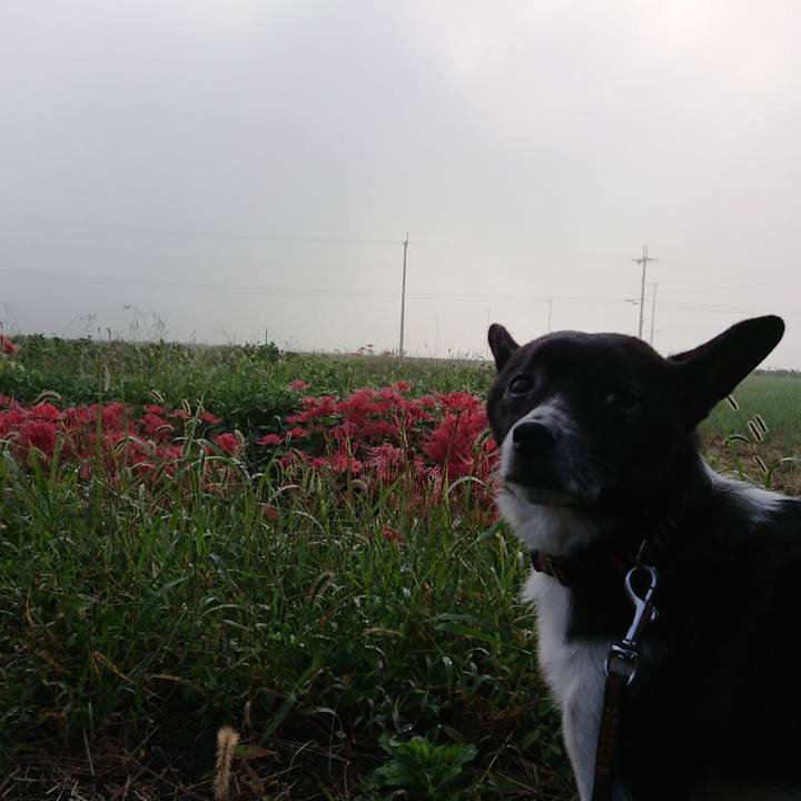 031c7b69 ab37 4d84 93ba cb4944f10fe6 1601516874085