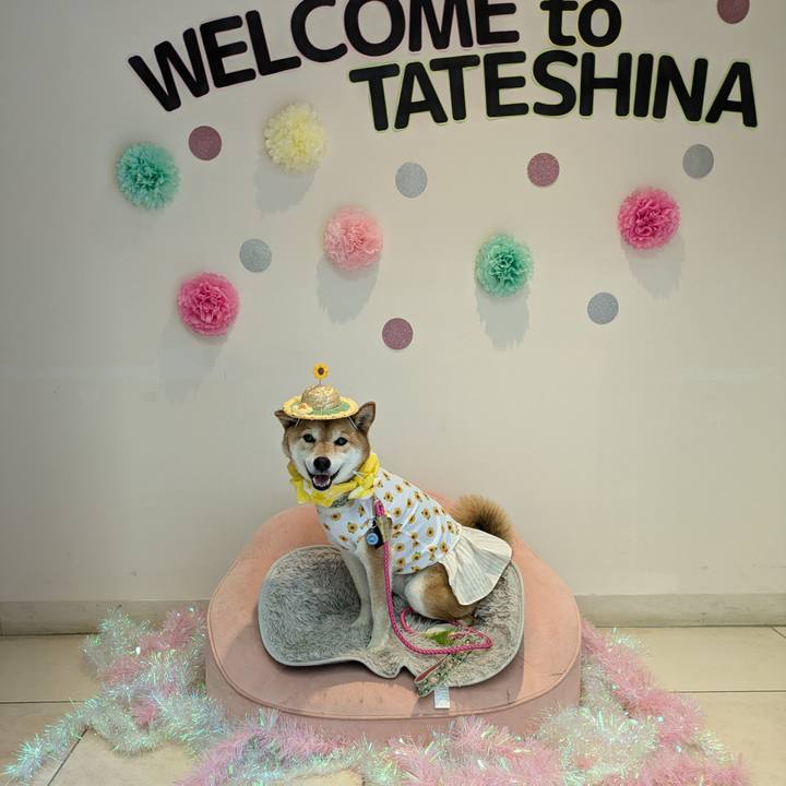 031c7def 9589 46ee 9860 ccdf50e4d159 1720328449390