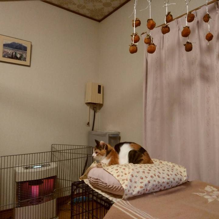 031c8574 29fc 42b2 97ff c6d31430fe01 1638795167785