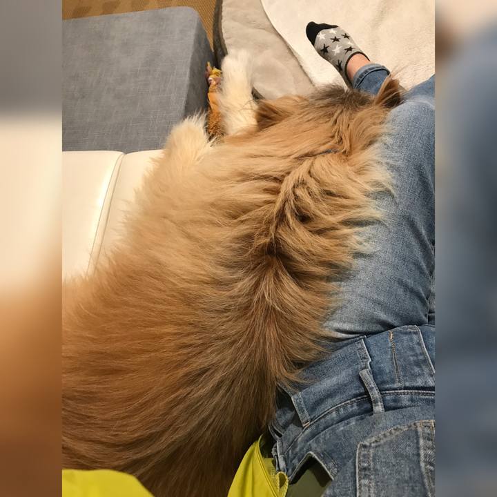 031cb4b0 97e9 490d a598 be3f4fefe1fd 1651030010775