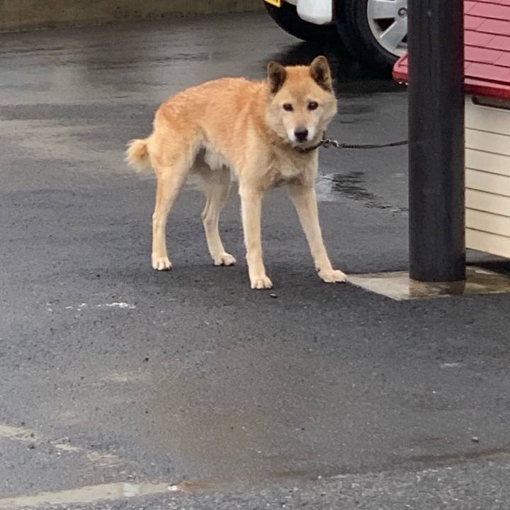 031d1b06 97bc 449b 9a93 6bb8fe266a4c 1566516768284