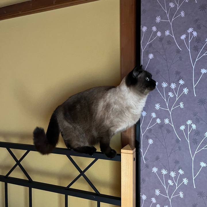 031d46ac 0236 4947 bc66 9ad1fc597acf 1677555715224